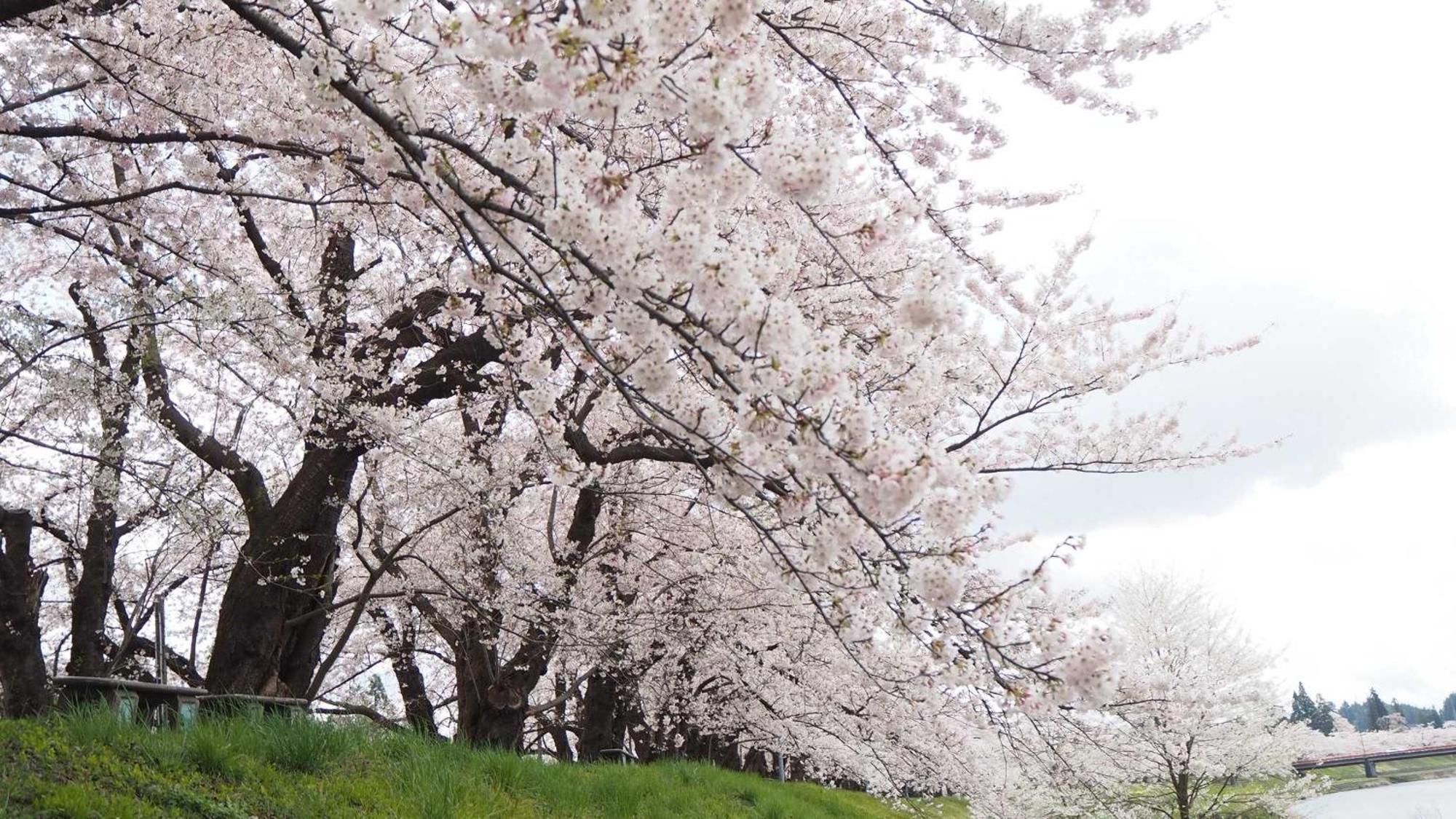 Отель Kashintei Shirahama Semboku Экстерьер фото